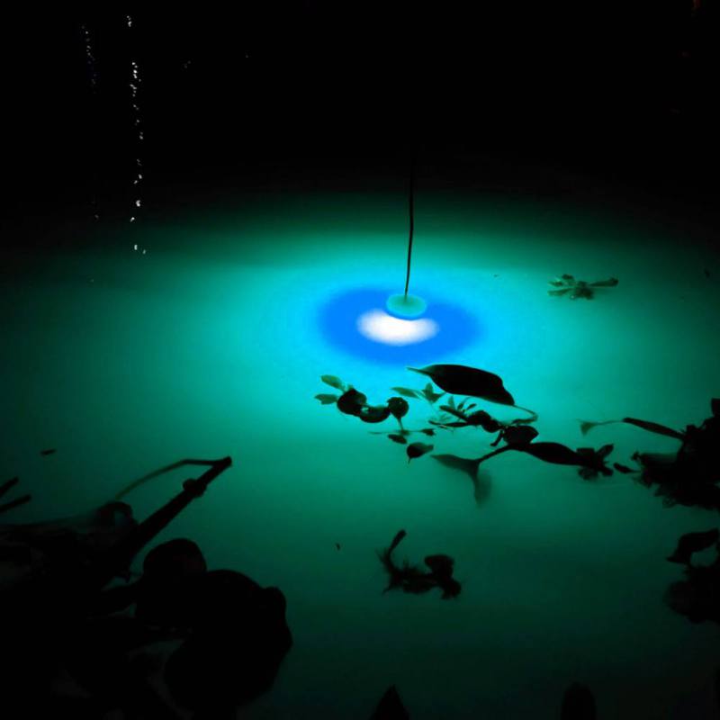 Mini Fishing Attraction Lamp G – обзор и цена Fishing Boat Navigation Light